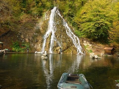  - Image 11